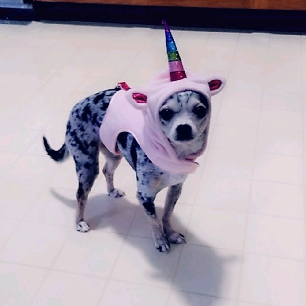 Meet your Posher, Sabrina